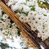 decorazioni-floreali-lafederica decorazioni-floreali-lafederica