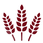 icone-sito-lafederica-Azienda-Agricola-bianco150x150